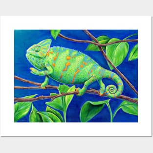 Veiled Chameleon Posters and Art